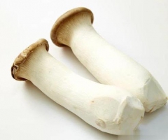 杏鲍菇  1kg