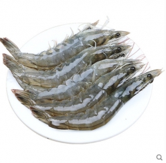 现捕冰鲜海虾2kg 2kg