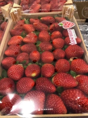 新鲜草莓 1KG