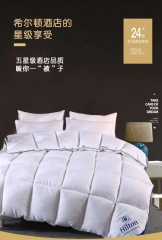 希尔顿羽丝绒被 1件